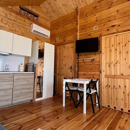 Dwór Piotra I Pawła- I