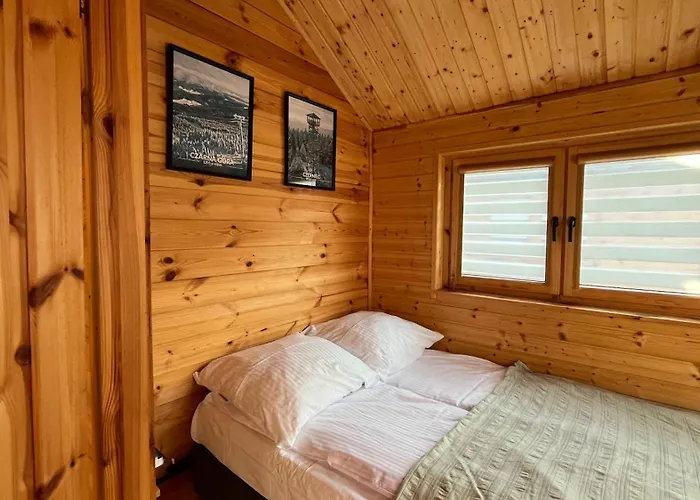 Dwor Piotra I Pawla- I Miedzygorze