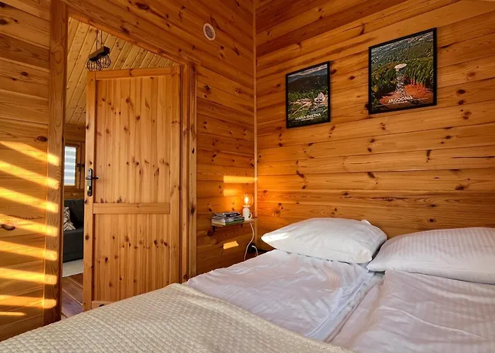 Dwor Piotra I Pawla- I * Miedzygorze